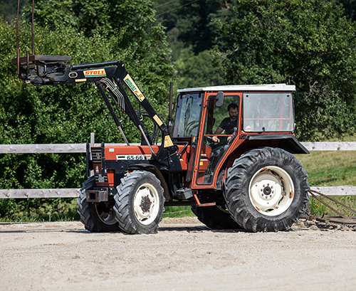 bumblebee-stable-reitplatz-1