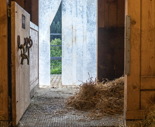 bumblebee-stable-stall-4