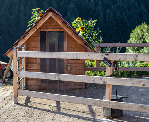 bumblebee-stable-stall-5